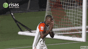 soccer goal GIF by USL