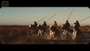 run horse GIF by BBC Earth