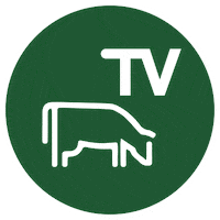 Campo Streaming Sticker by Colombo y Magliano