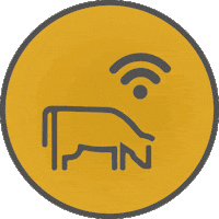 Argentina Campo Sticker by Colombo y Magliano