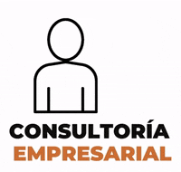 PaolaAulestia pymes consultoria empresarial paola aulestia auditoria externa GIF