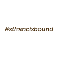 I Did It Usf Sticker by University of St. Francis