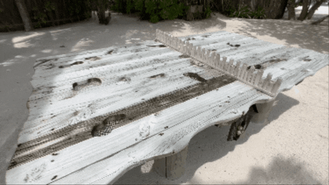 cheng-yingwu giphygifmaker GIF