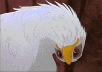 Confused Bald Eagle GIF
