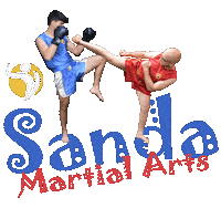 Martial Arts Fighter Sticker by Champion Training Sanda Martial Art