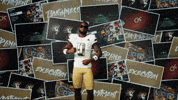 Georgia Tech Football GIF by Georgia Tech Yellow Jackets