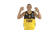 Ewe Baskets Basketball Sticker by EWE Baskets Oldenburg