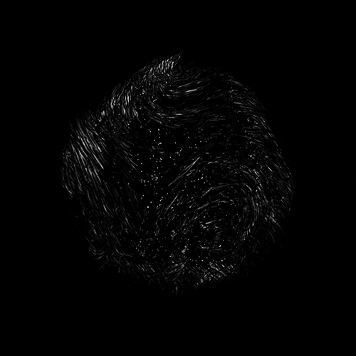 black and white animation GIF by Alastair Gray