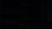 Michael Pittman Football GIF by Indianapolis Colts