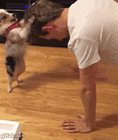 Dog Man GIF
