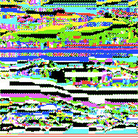 GIF by William Wolfgang Wunderbar