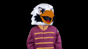 College Mascot GIF by SUNYJefferson