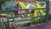 Blumenau Gppark GIF by Greenplace TV