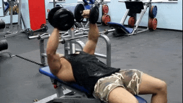 bodybuilding-and-fitness giphyupload razvodka GIF
