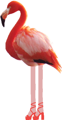 Flamingo Highheel Sticker