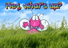 Compliments GIF