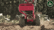 Munditol_Oficial love strong argentina forest GIF