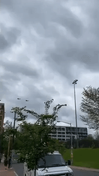 F-22 Raptors Spotted Over DC During Flyover That Interrupted White House Press Briefing