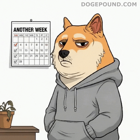 Tired Over It GIF by Doge Pound