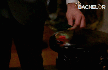 Thebachelor GIF by The Bachelor Australia