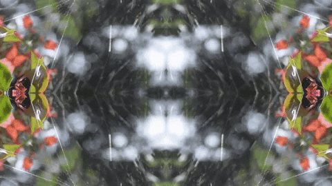 Art Love GIF by jorgemariozuleta