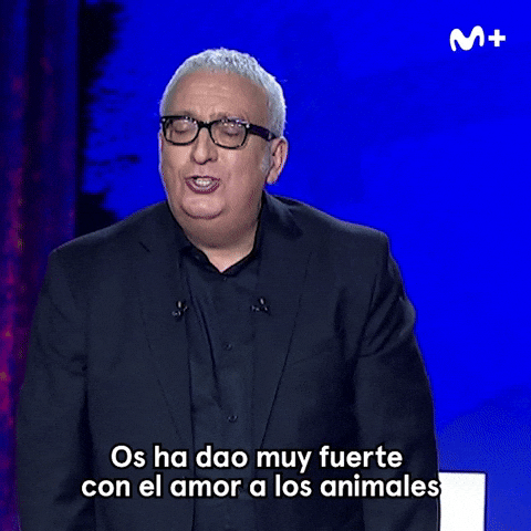 Leo Harlem Animales GIF by Movistar Plus+