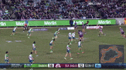 Try Nrl GIF by Canberra Raiders