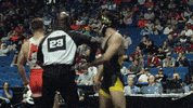 Weber Win GIF by NDSU Athletics