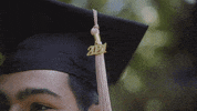 Celebrate South Carolina GIF by University of South Carolina