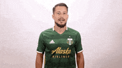 portland timbers wink GIF by Timbers