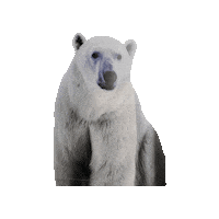 Harald Sticker by Globalportalen