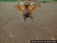 appear earth sciences GIF