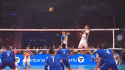 archivebottolo volleyball italia volley pallavolo GIF