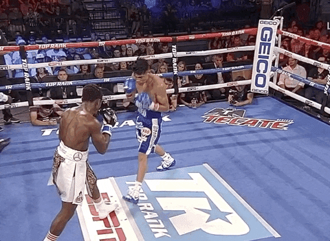 toprank giphyupload fight fighting espn GIF