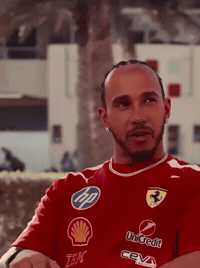 KleurrijkeKinderwens f1 lewis lewishamilton GIF
