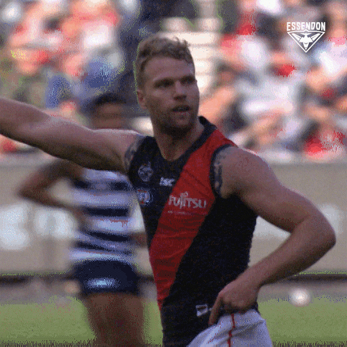 Celebrate Aussie Rules GIF by Essendon FC
