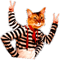 kiiro_suishaw cat peace ねこ 猫 Sticker
