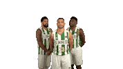 Liga Endesa Dancing Sticker by ACB