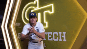 Georgia Tech Baseball GIF by Georgia Tech Yellow Jackets