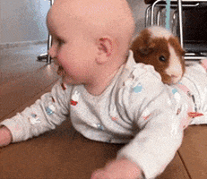 marketingja  GIF