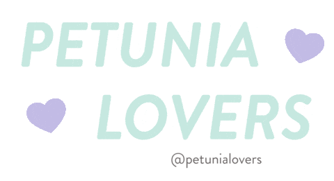 Corona Petunia Sticker by Petunialovers