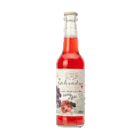 Cherry Cider Sticker by Tátův Sad