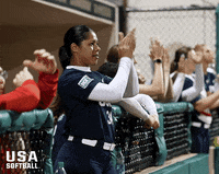 Team Usa Hand Clap GIF by USA Softball