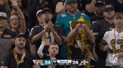 National Football League GIF by NFL