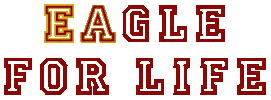 Football College Sticker by BostonCollege