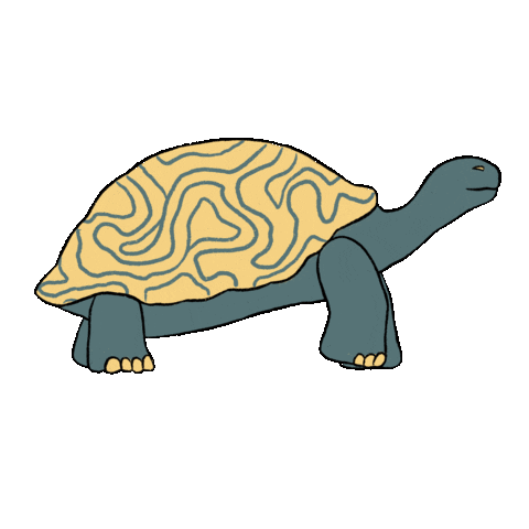 annabelhitchmough giphyupload walking walk tortoise Sticker