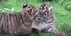 GIF by Mashable