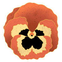 daturastore datura Sticker