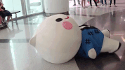 fall struggle GIF