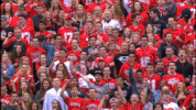 ncaa sports GIF by Ohio State Athletics